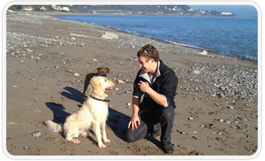 Stephen O'Keeffe with Teddy the labradoodle and Heide the boxer cross